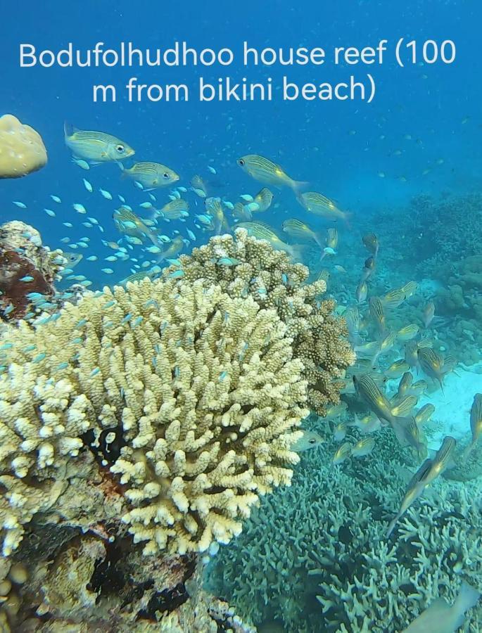 Surfretreat Hotel Bodufolhudhoo Екстериор снимка