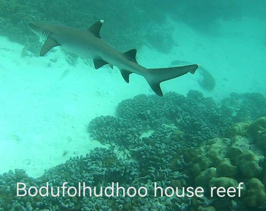Surfretreat Hotel Bodufolhudhoo Екстериор снимка