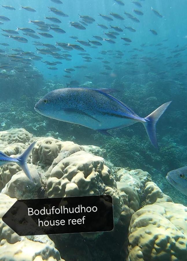 Surfretreat Hotel Bodufolhudhoo Екстериор снимка